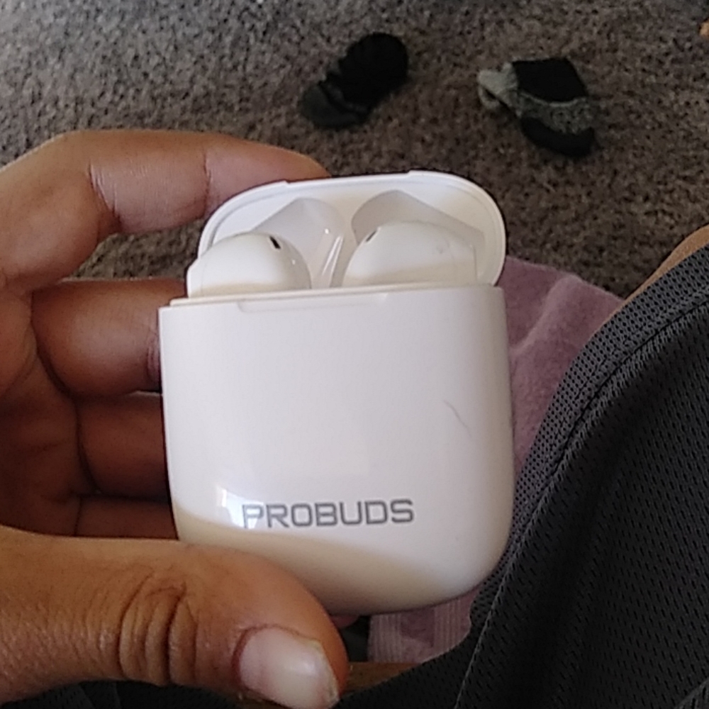 Probuds